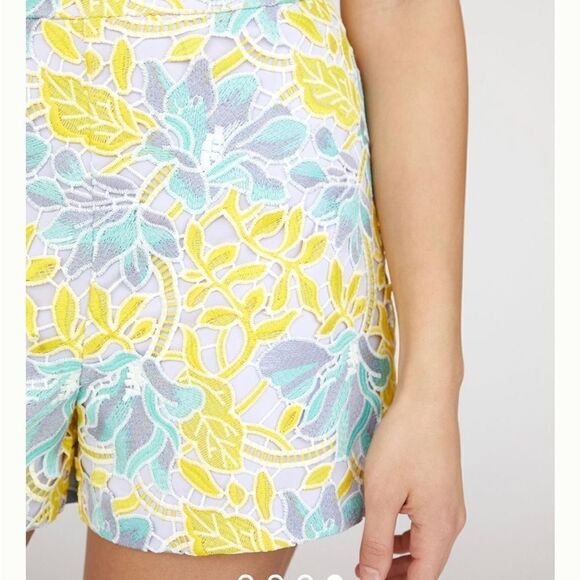 New Anthropologie Hutch Pastel
Lace Shorts Size 12
New with out tag never worn - Picture 3 of 12